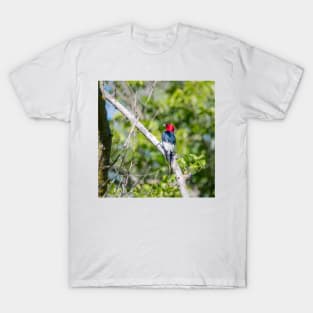 Red-headed Woodpecker by Debra Martz T-Shirt